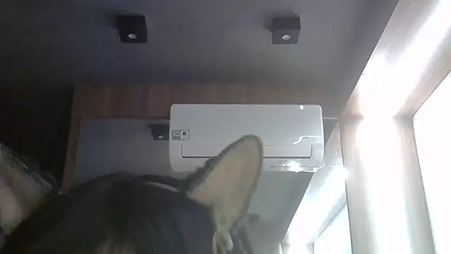 Skinny-Kitten online show from 06/27/26, 05:23