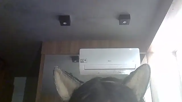 Skinny-Kitten online show from 06/27/26, 01:28