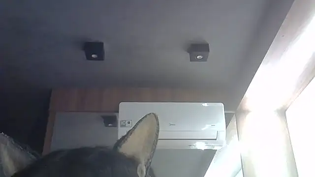 Skinny-Kitten online show from 06/28/26, 01:33