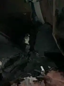 Snapshot of prekumstud chatting on 02/20/26, 11:43 prekumstud online show from 02/20/26, 11:43