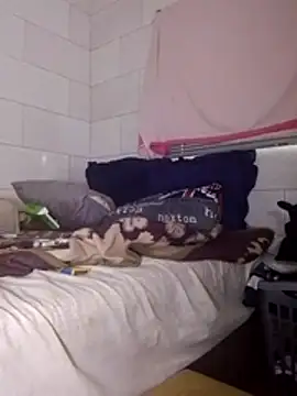 Snapshot of Stormward chatting on 03/25/26, 05:24 Stormward online show from 03/25/26, 05:24