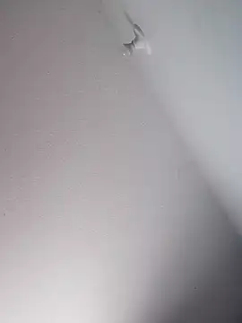 Snapshot of Delicy1 chatting on 02/17/26, 02:13 Delicy1 online show from 02/17/26, 02:13