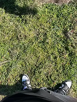 Snapshot of DaveJoin7 chatting on 03/06/25, 01:14 DaveJoin7 online show from 03/06/25, 01:14