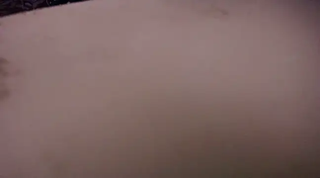 yselahot online show from 02/13/25, 11:47