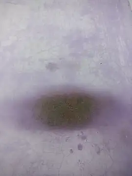 Snapshot of Kannadaboymanu chatting on 03/18/25, 04:59 Kannadaboymanu online show from 03/18/25, 04:59