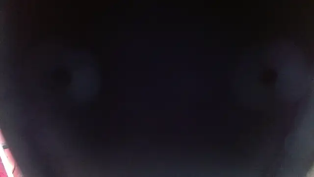 sofia perez    online show from 12/26/24, 07:49