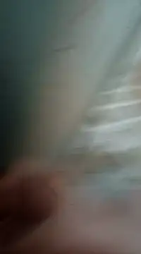 Snapshot of Sexis26 chatting on 03/15/25, 08:43 Sexis26 online show from 03/15/25, 08:43