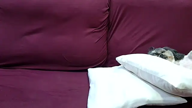 Kellynha Sweet online show from 12/18/25, 02:06