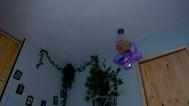 VickyJackson  online show from 11/19/25, 07:58