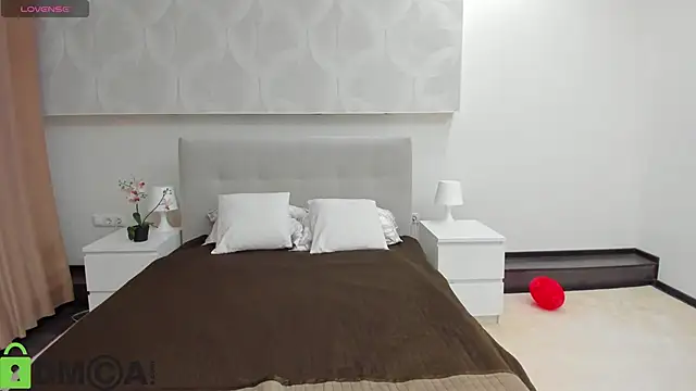 Snapshot of Donna_Evans chatting on 02/17/26, 11:55 Donna Evans online show from 02/17/26, 11:55