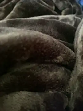 Snapshot of ft2022W chatting on 03/07/26, 06:16 ft2022W online show from 03/07/26, 06:16