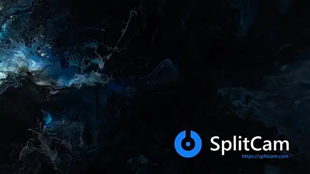 vanered2 online show from 11/12/25, 12:27