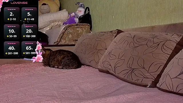 Miss Flexi fit online show from 11/30/25, 08:57