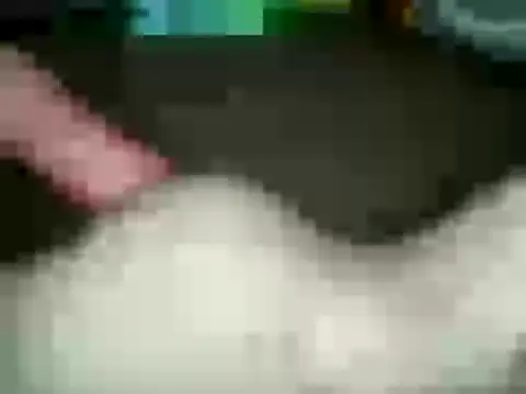 Snapshot of xxxlecram chatting on 01/15/25, 02:56 xxxlecram online show from 01/15/25, 02:56