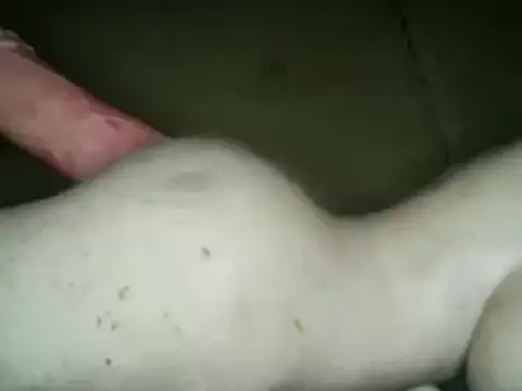 Snapshot of xxxlecram chatting on 03/04/25, 04:17 xxxlecram online show from 03/04/25, 04:17