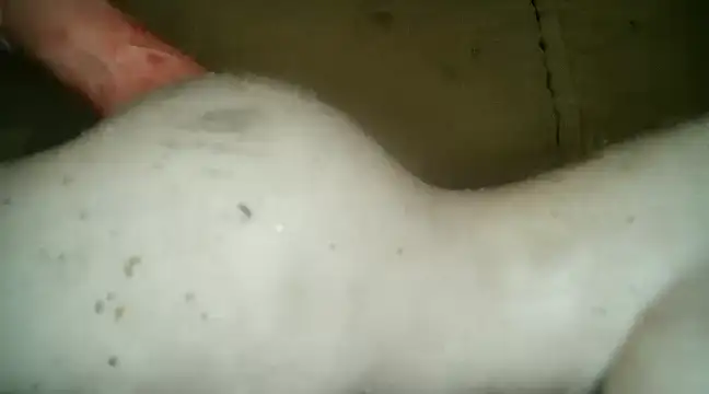 Snapshot of xxxlecram chatting on 03/05/25, 09:48 xxxlecram online show from 03/05/25, 09:48