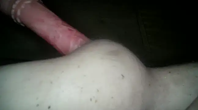 Snapshot of xxxlecram chatting on 03/12/25, 02:01 xxxlecram online show from 03/12/25, 02:01