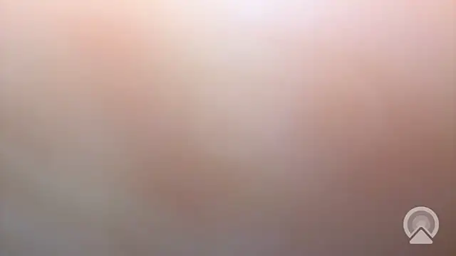 Aulonocara86 online show from 12/17/25, 06:52