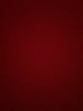 pamela anderson  online show from 12/18/24, 10:40