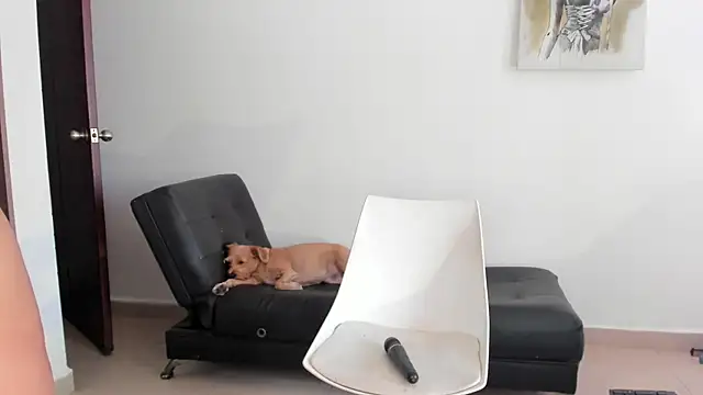 Snapshot of selene_king2 chatting on 12/10/24, 06:17 selene king2 online show from 12/10/24, 06:17