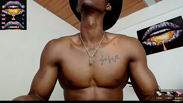 drake brwon 23 online show from 02/19/25, 08:55