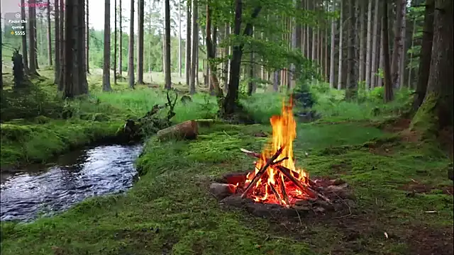 Snapshot of rusbigpaul chatting on 02/12/25, 07:13 rusbigpaul online show from 02/12/25, 07:13