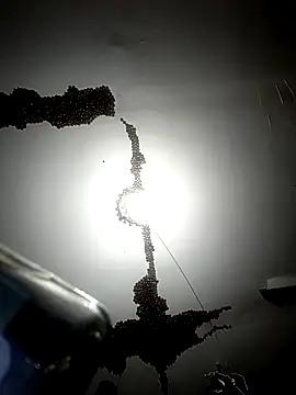 Snapshot of ColdVisitor chatting on 02/06/26, 01:32 ColdVisitor online show from 02/06/26, 01:32