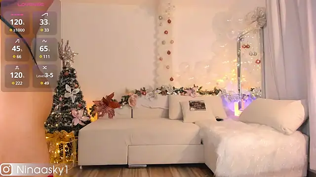 ninaa sky online show from 12/30/24, 06:20