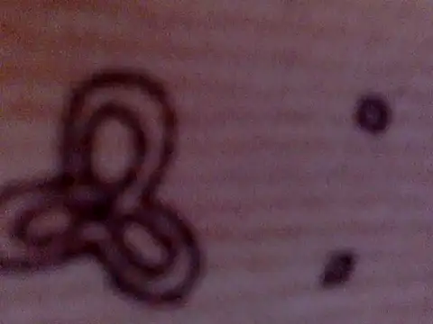 Snapshot of soniasharma0223 chatting on 02/17/25, 05:47 soniasharma0223 online show from 02/17/25, 05:47