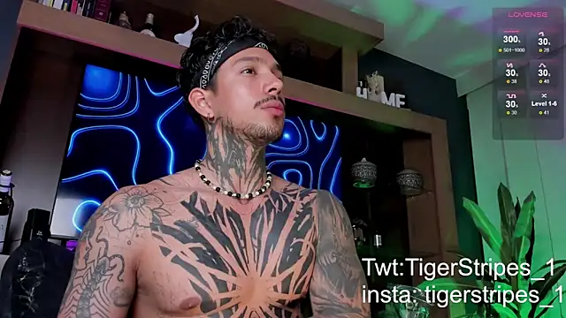 TigerStripes1  online show from 03/09/25, 12:31