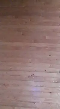 Snapshot of aliosa23 chatting on 01/21/25, 11:35 aliosa23 online show from 01/21/25, 11:35