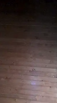 Snapshot of aliosa23 chatting on 01/21/25, 02:37 aliosa23 online show from 01/21/25, 02:37