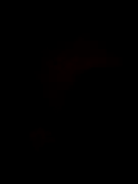 Bella-Tight online show from 10/30/25, 10:43