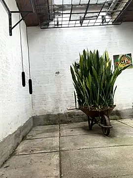 Snapshot of oliver_price1 chatting on 10/21/25, 03:13 oliver price1 online show from 10/21/25, 03:13