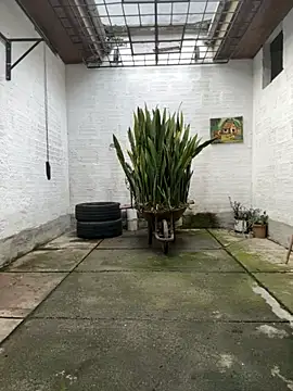 Snapshot of oliver_price1 chatting on 11/12/25, 09:14 oliver price1 online show from 11/12/25, 09:14