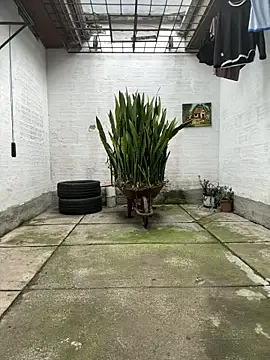 Snapshot of oliver_price1 chatting on 11/13/25, 09:14 oliver price1 online show from 11/13/25, 09:14