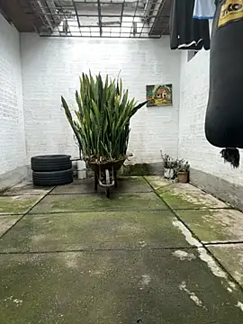 Snapshot of oliver_price1 chatting on 11/16/25, 08:03 oliver price1 online show from 11/16/25, 08:03