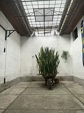 oliver price1 online show from 05/11/26, 02:45