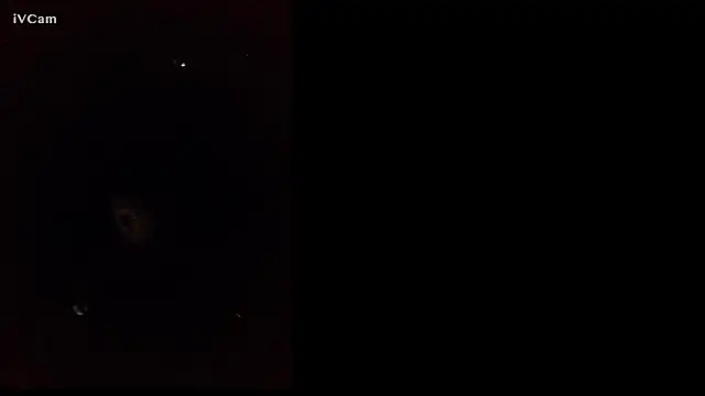 vegetaa online show from 07/18/26, 03:33