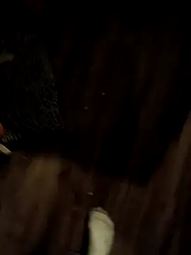 Donglong80 online show from 11/17/25, 11:16