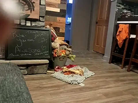 Donglong80 online show from 11/25/25, 12:05